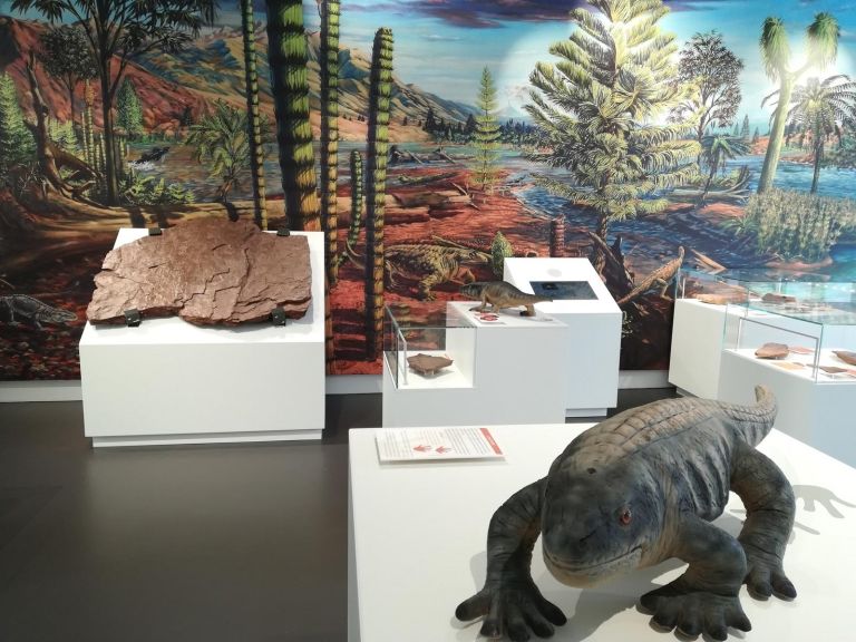 K&ouml;tschach-Mauthen Saurier: Die &auml;ltesten Fossilien des Landes