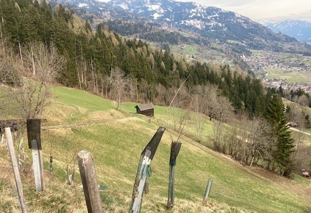 Erster Lehrgang Bergb&auml;uerlicher Landschaftsf&uuml;hrer