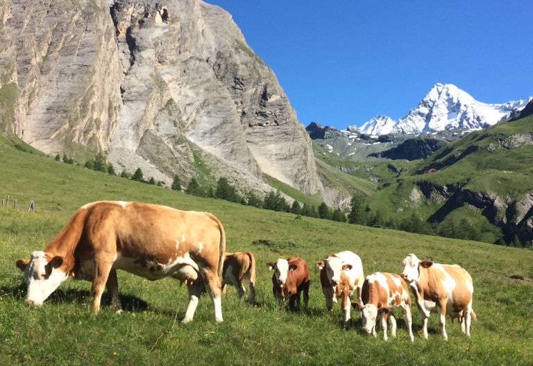 Osttirol im Fokus einer Studie zum Klimawandel
