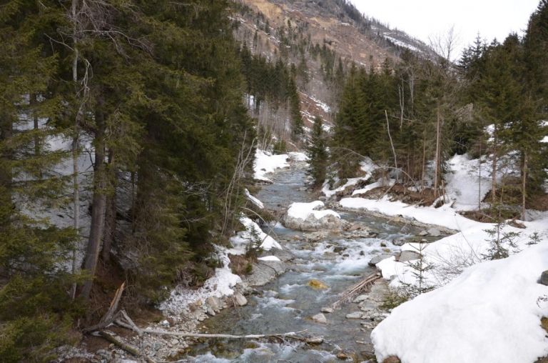 Neue Naturschutz-Stellungnahme zu Kraftwerksplan in Kals