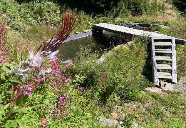 Glanzhof in Hopfgarten punktet mit Deferegger Bergsaibling 