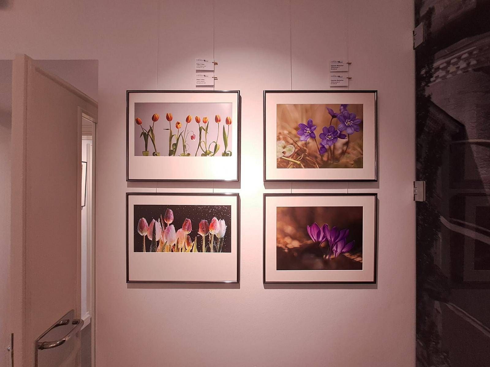Foto: Fotoclub Lienz