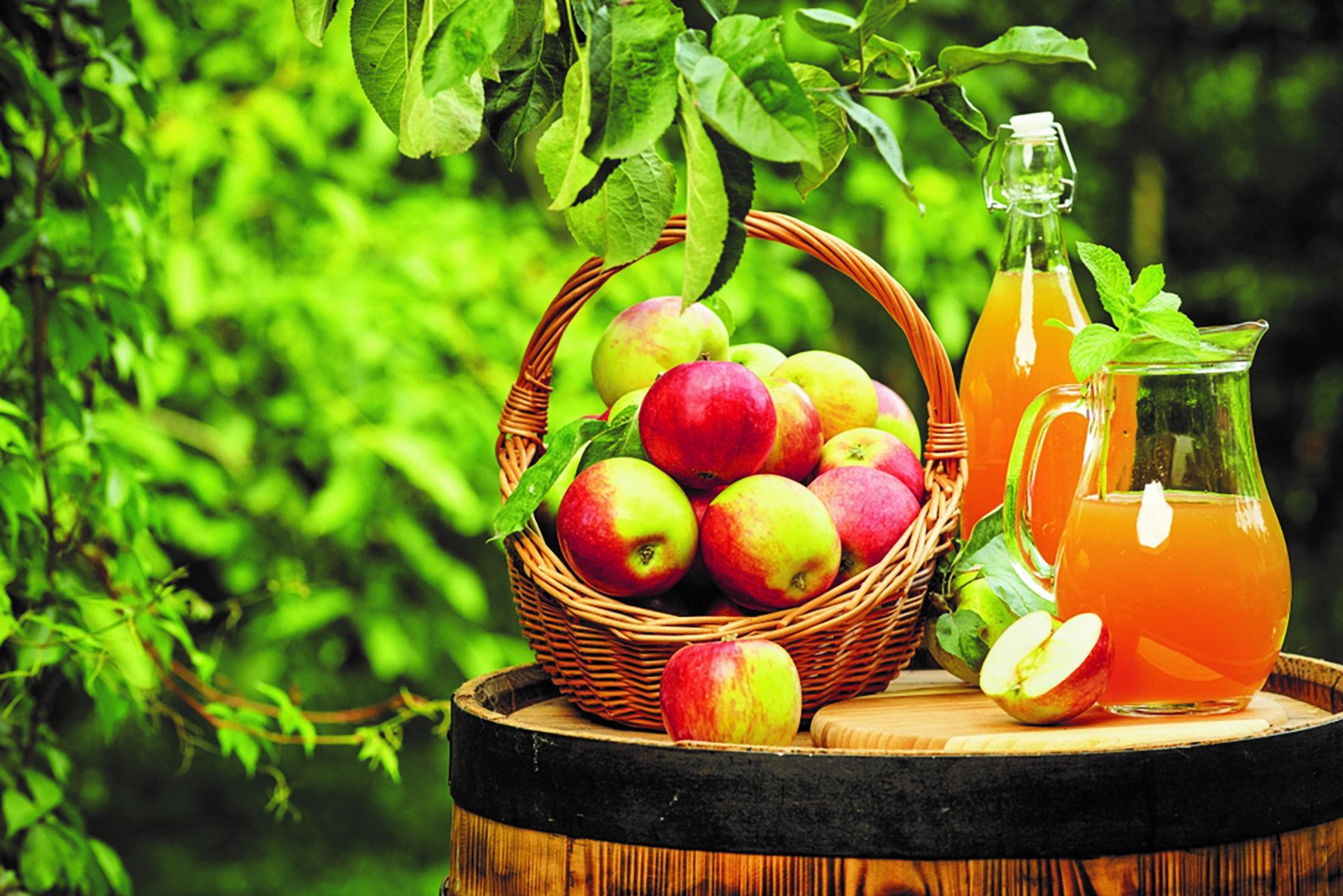 Naturtr&uuml;ber Apfelsaft schmeckt intensiver und enth&auml;lt mehr Vitalstoffe. Symbolfoto