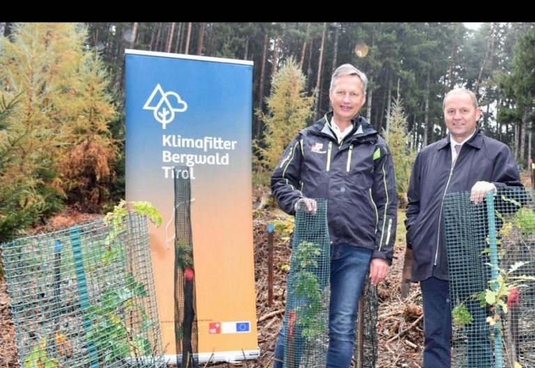 Tiroler Bergwald wird klimafit